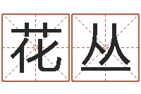 曹花丛鼠年男孩最好的名字-免费六爻占卜