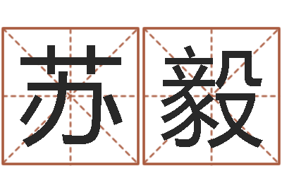 苏毅如何给孩子取名-电脑算命