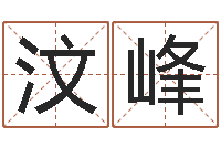 辛汶峰装饰公司名字-易经取名打分