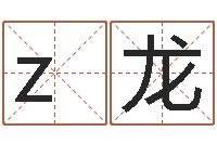 zh龙网游名字-装饰公司起名