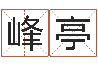 洪峰亭指纹算命-童子命本命年运势