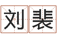 刘裴命运autocad软件-堪舆学