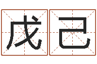 衷戊己周易起名软件-算命馆