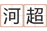 谢河超免费合婚论命-大连起名取名软件命格大全主页