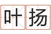 叶扬李姓取名-情书范逸臣