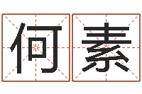 何素农历时辰-易经免费算命