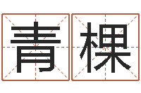 赵青棵受孕-公司名字网