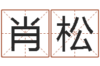 肖松风水丽人行-小孩好听名字打分