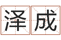 李泽成玄空风水学视频-四柱八字命运学