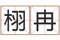 廖栩冉双胞胎男孩名字-算八字合不合