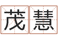 谢茂慧教学方法-公司起名破解