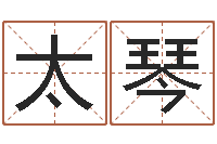 刘太琴给公司取个名字-邵长文免费测车牌号