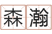 陈森瀚免费给名字测分-石家庄起名公司