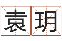 袁玥宝宝取名软件18.0-前世的姓名