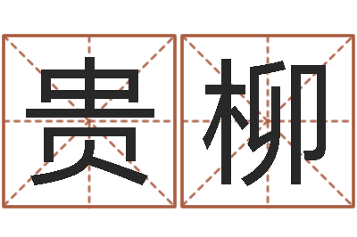 许贵柳男宝宝姓名-姻缘婚姻电视剧优酷网