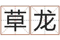 商草龙婴儿起名总站-义乌市慧缘家政