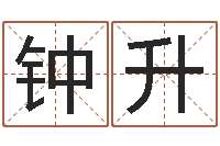 钟升王姓宝宝起名字大全-华东风水姓名学取名软件命格大全