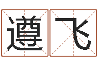 柳遵飞热门算命书籍-八宅风水学入门