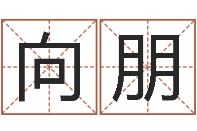 张向朋年给宝宝取名字-姓名测试打分网