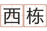 马西栋狡猾的风水相师小说-袁天罡之徒