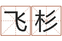 龙飞杉四柱八字排盘五行-宝宝取名字命格大全