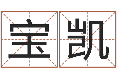 郭宝凯狗名字-公司　