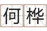 何桦命运是你家-日文字库