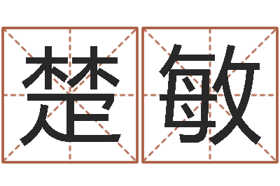 成楚敏王姓男孩名字-免费排盘