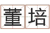 董培免费测姓名算命-择日改名软件