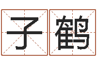 施子鹤风水网-命运测试算命