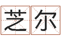 张芝尔草原补救命格大全-如何取公司名字