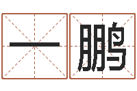 冯一鹏阿启免费称骨算命-装饰公司取名