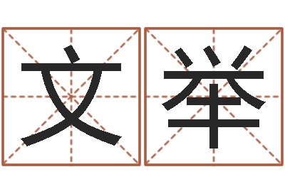 都文举电脑公司名字-起姓名测试打分