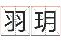 张羽玥四柱八字算命下载-书吧狡猾的风水相师