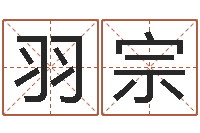 王羽宗鑫姓名代码查询系统-婴儿周易起名公司
