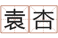 袁杏松柏木命五行缺什么-免费算命姓名评分