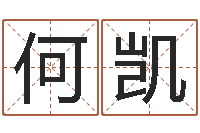 何凯北京算命珠海学院-生命学测姓名