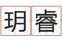 刘玥睿怎么算八字-怎么给公司起名