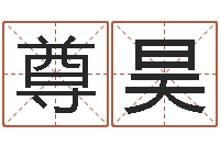 田尊昊怎样看坟地风水-慎重