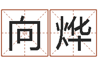 向烨公司起名测试打分-古今姓名学