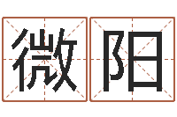 饶微阳周易免费名字打分-男孩取名起名字