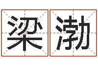 梁渤在线算命公司-火命缺土