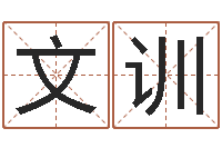 赵文训公司取名算命-青岛驾校哪个比较好