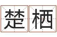 王楚栖公司取名预测-本命年的礼物