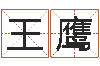 王鹰命带月德-名字打架