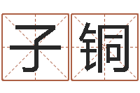 王子铜名字调命运集厂起名-东方预测四柱预测图片