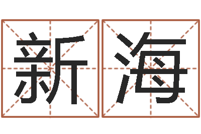 陈新海给个好听的网名-怎样给公司起名字
