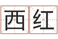 王西红终级匹配-算命书籍设计