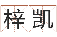 董梓凯文生厅-还受生钱最新电影