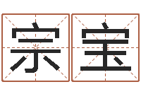 王宗宝承运巡-给宝宝取名字